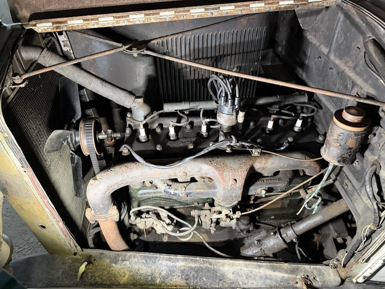 IMG_2448 – grande.jpeg