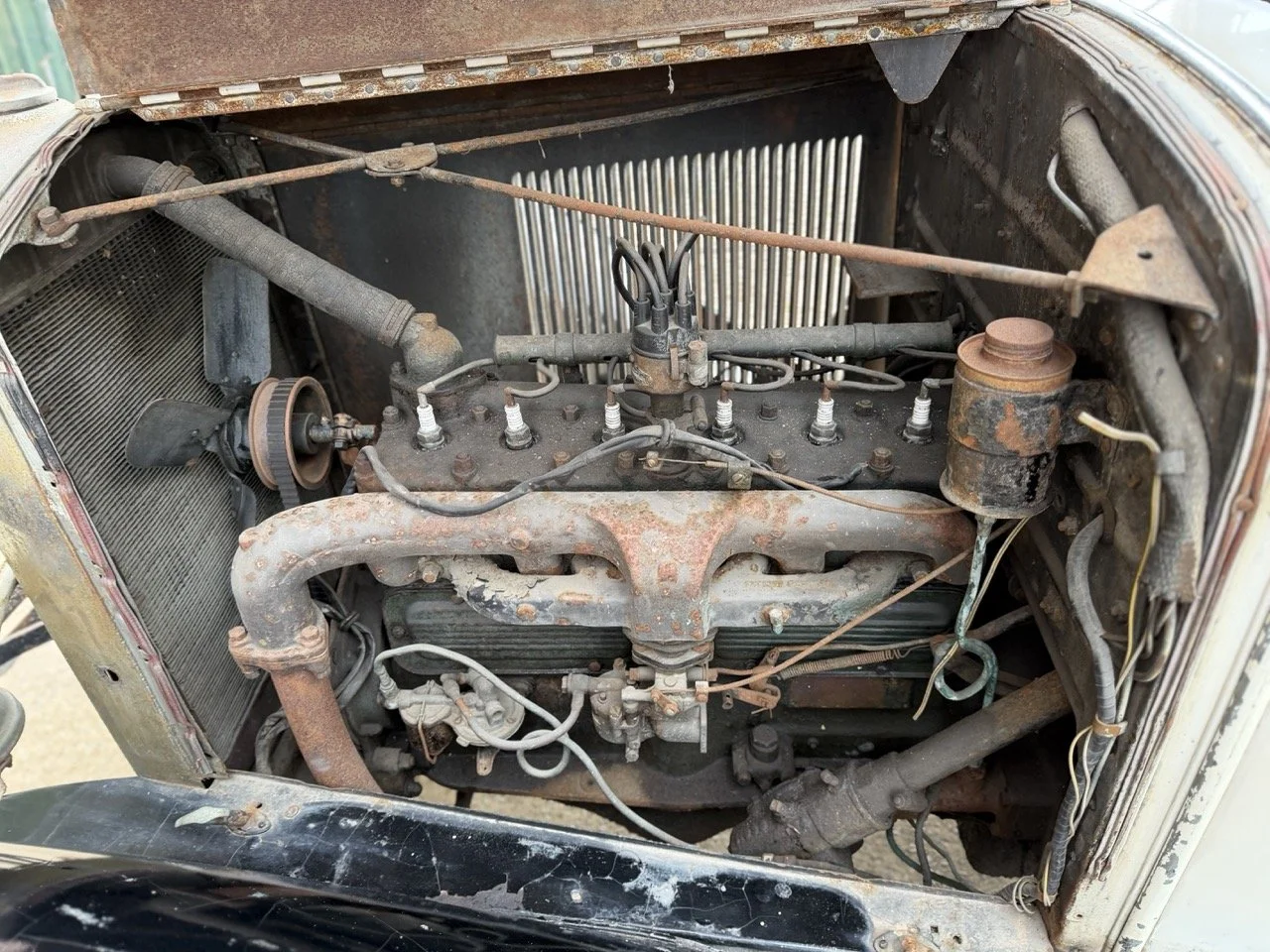 IMG_1699 – grande.jpeg