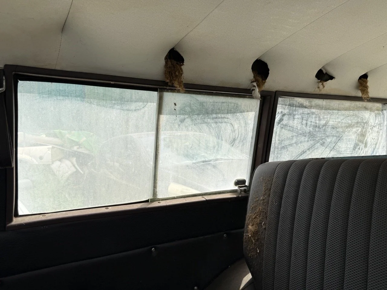 IMG_1397 – grande.jpeg