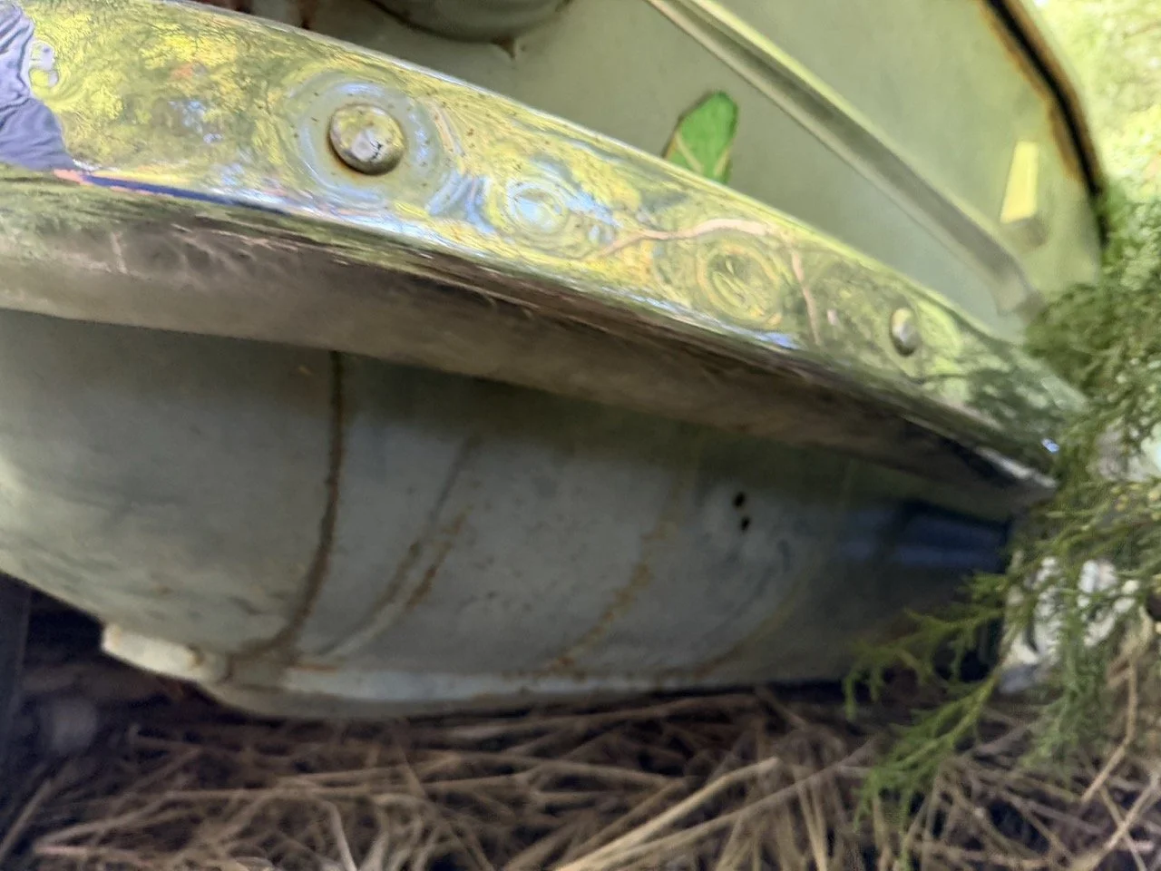 IMG_8558 – grande.jpeg