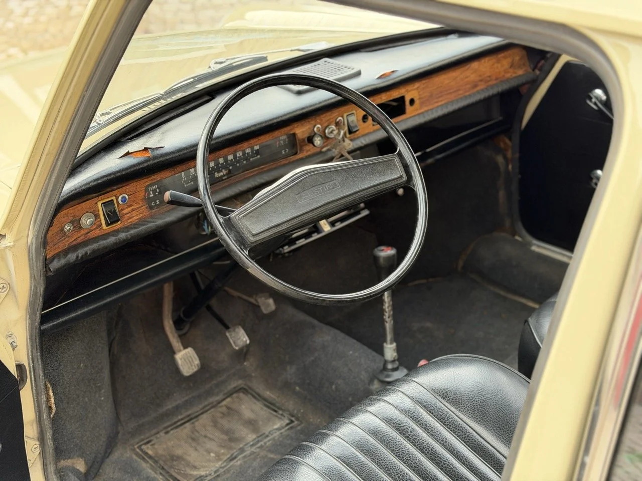 IMG_4026 – grande.jpeg