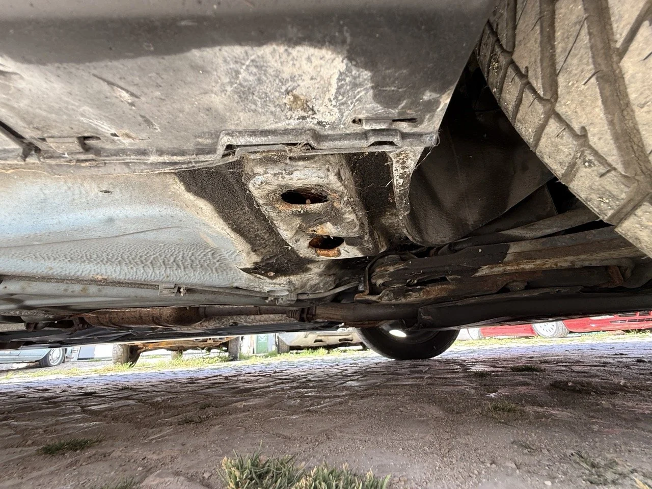 IMG_2515 – grande.jpeg