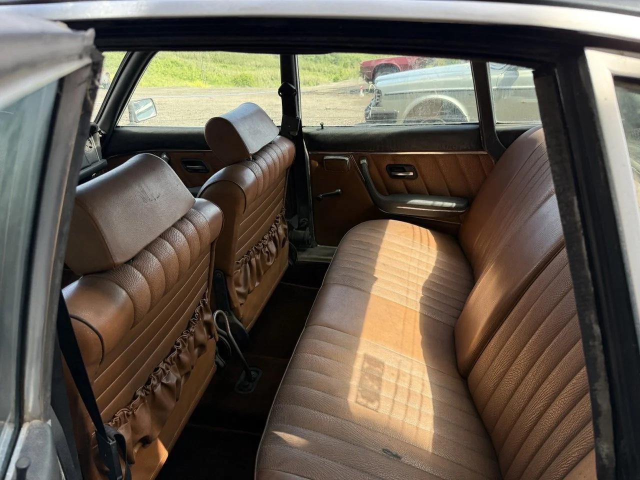 IMG_0565 – grande.jpeg