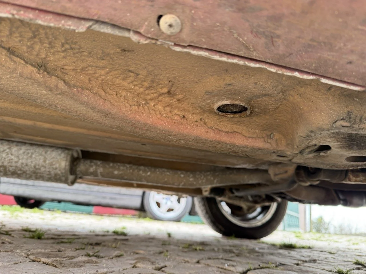 IMG_0469 – grande.jpeg