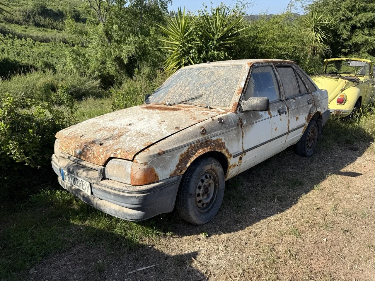 IMG_3084 – grande.jpeg