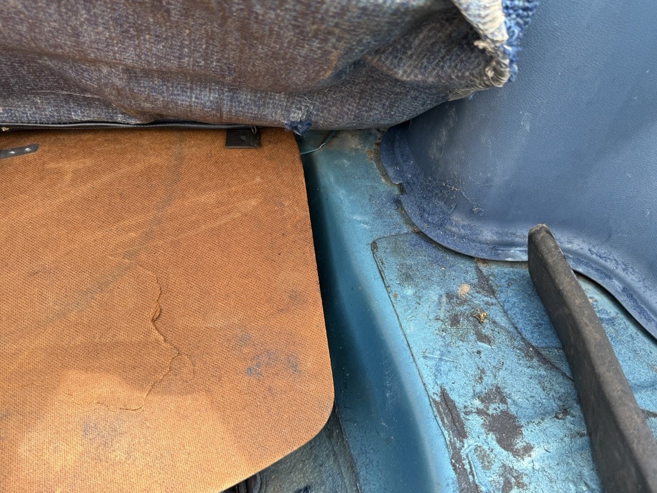 IMG_1534 – grande.jpeg