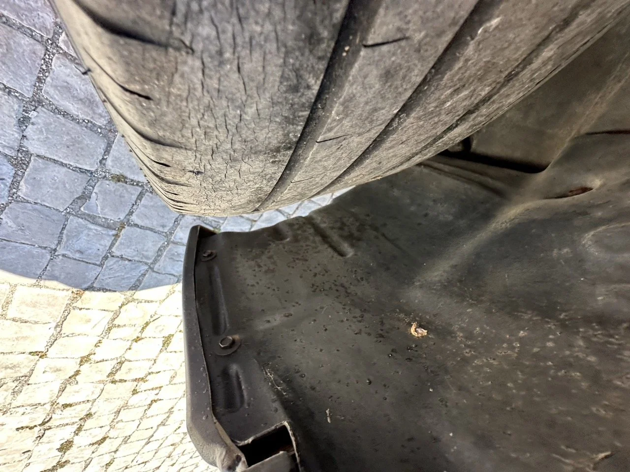 IMG_3141 – grande.jpeg