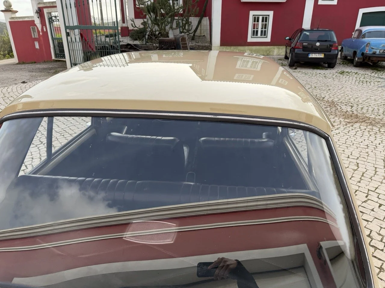 IMG_4091 – grande.jpeg