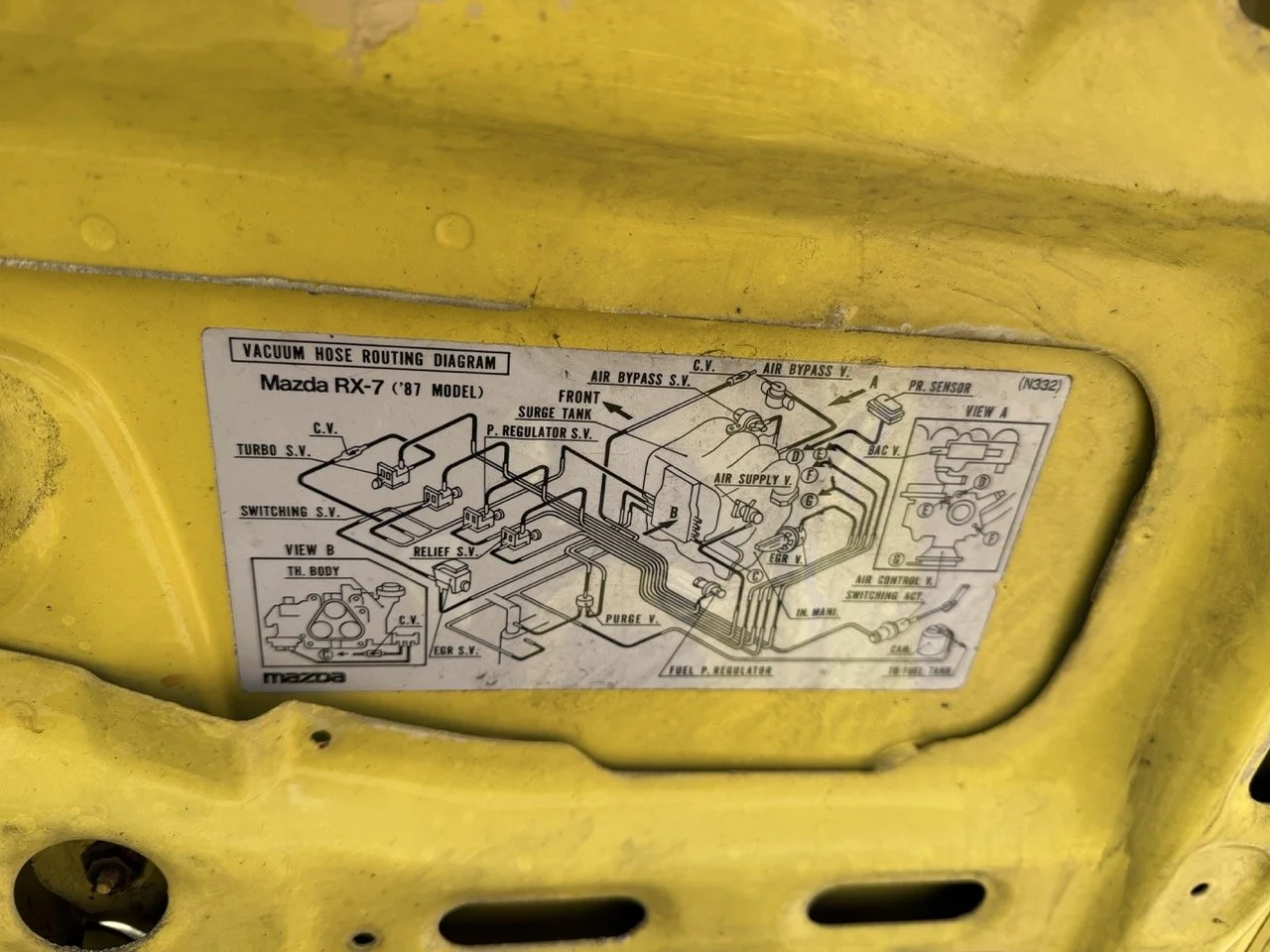 IMG_9754 – grande.jpeg