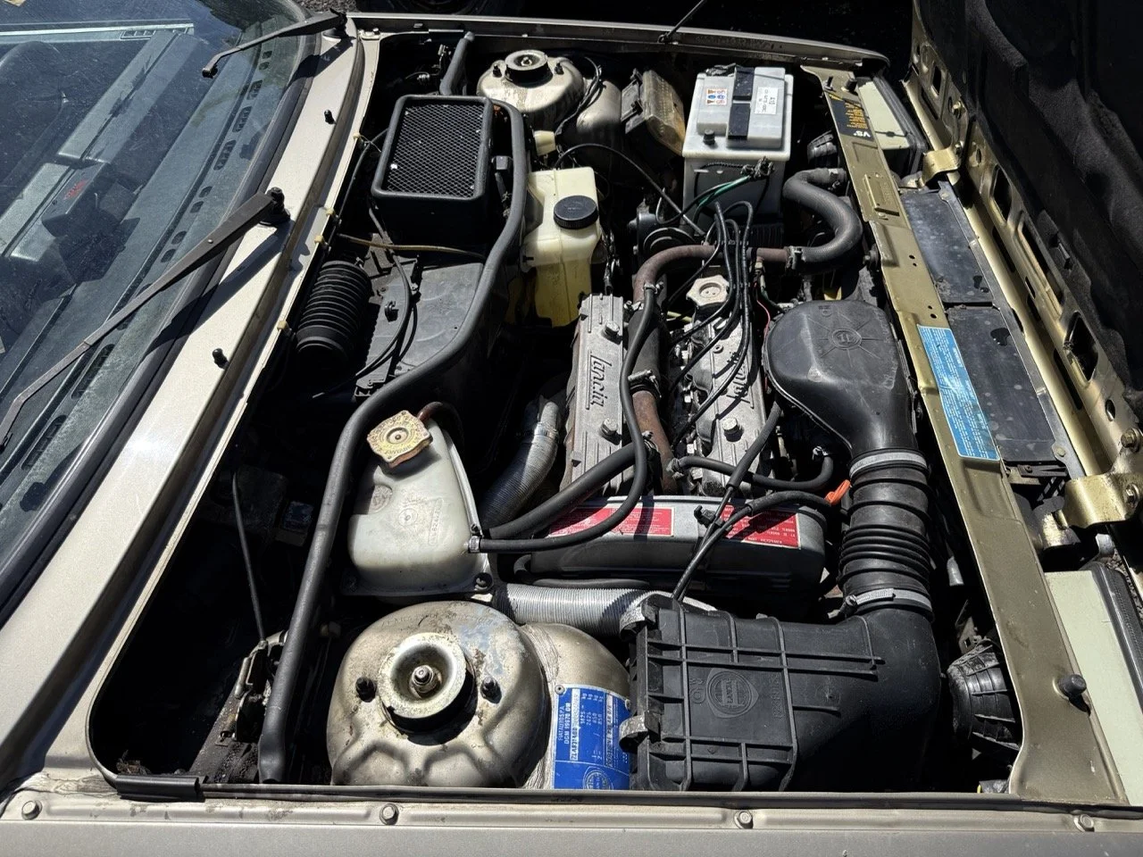 IMG_1896 – grande.jpeg