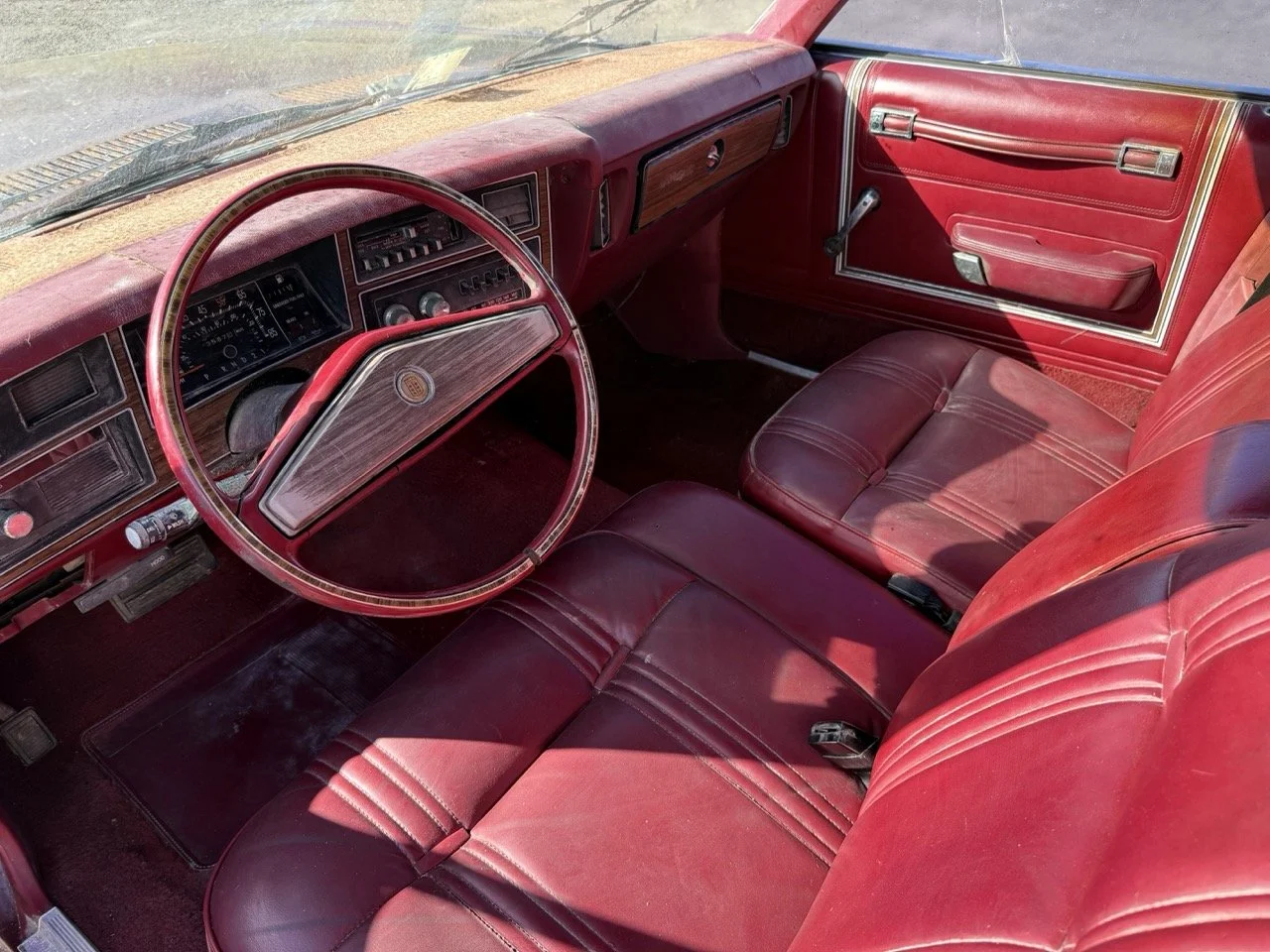 IMG_3015 – grande.jpeg