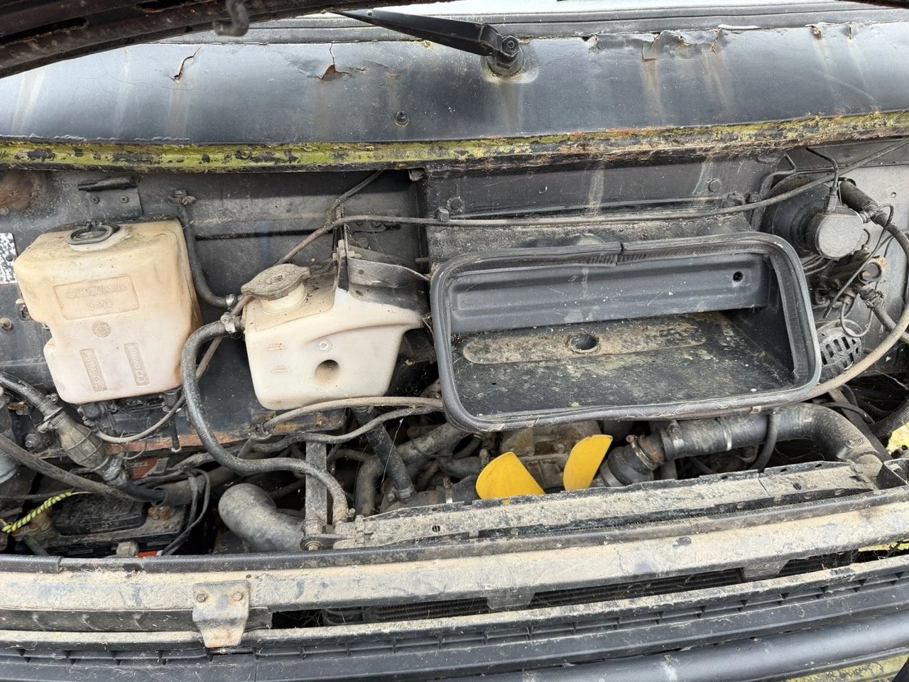 IMG_1358 – grande.jpeg