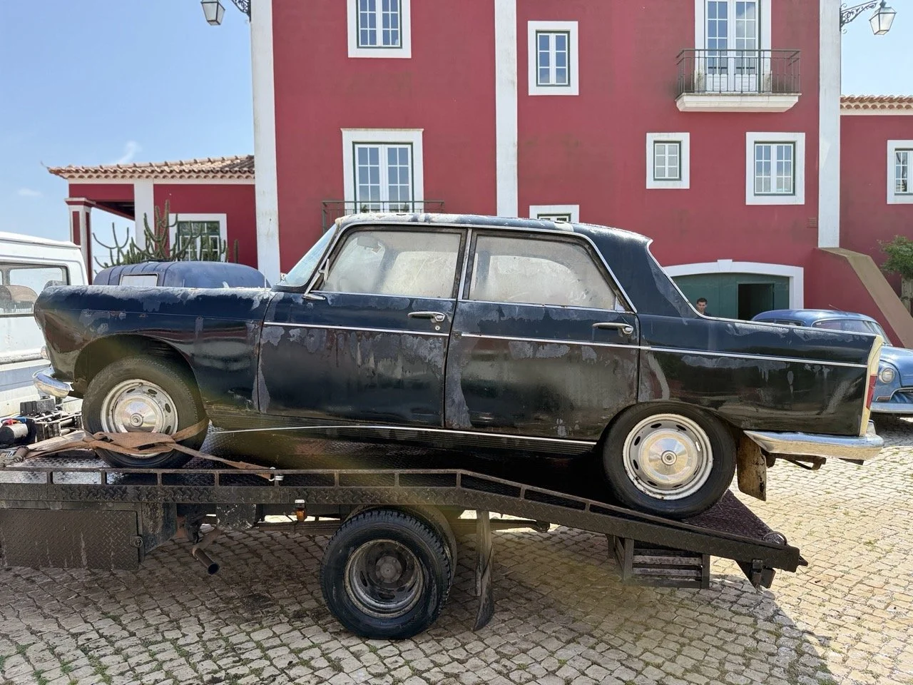 IMG_3455 – grande.jpeg