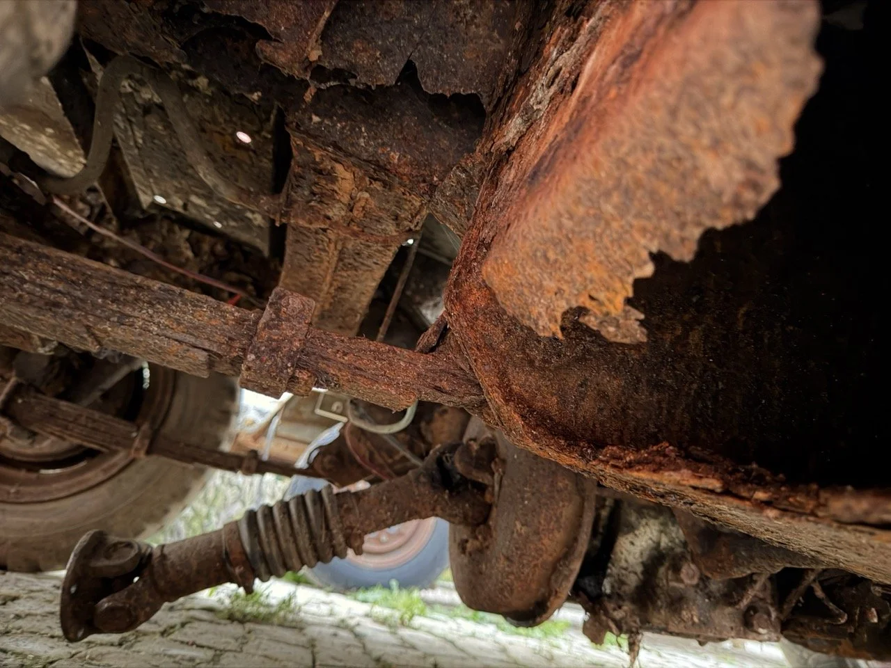 IMG_7485 – grande.jpeg