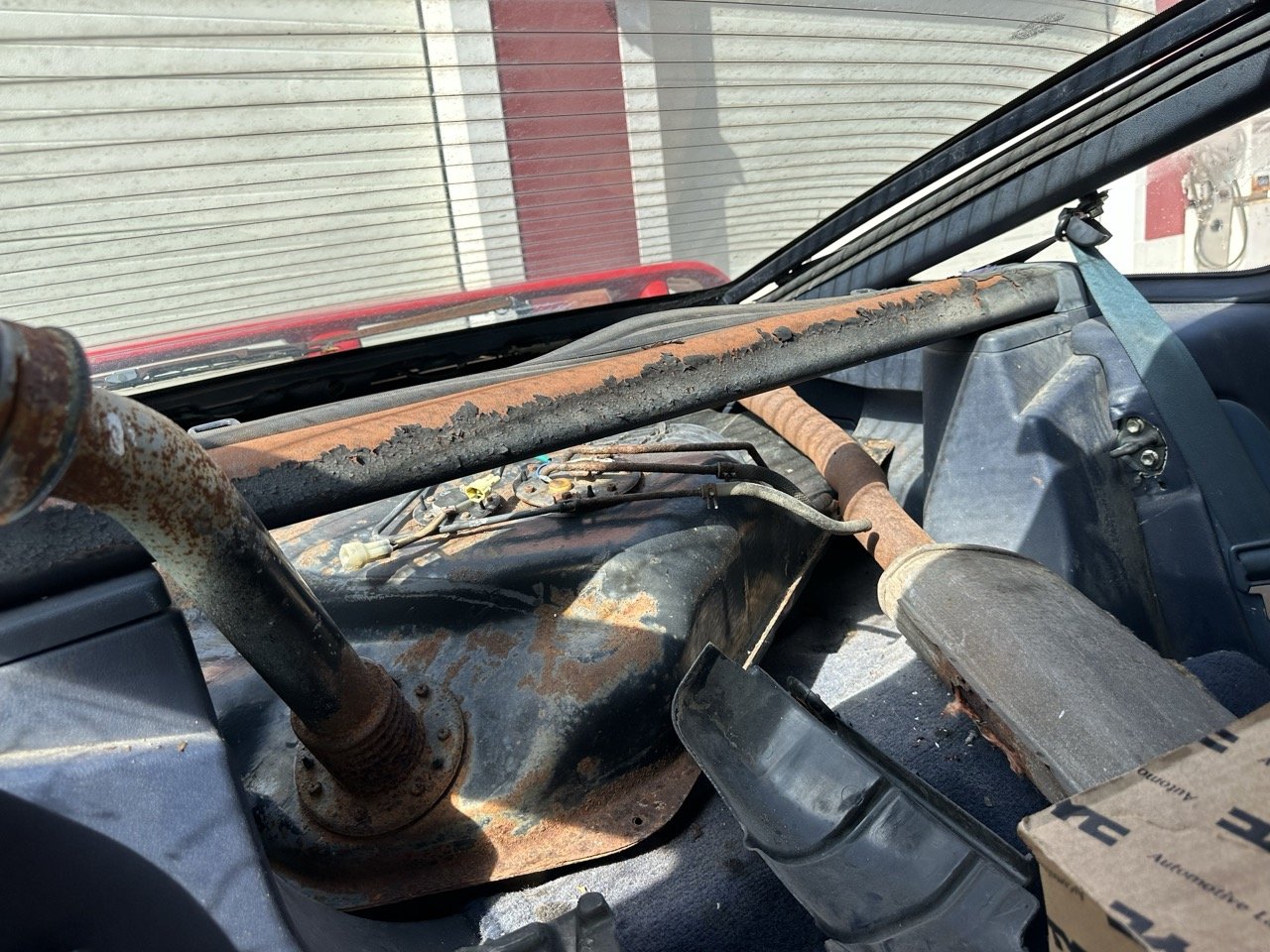 IMG_7189 – grande.jpeg