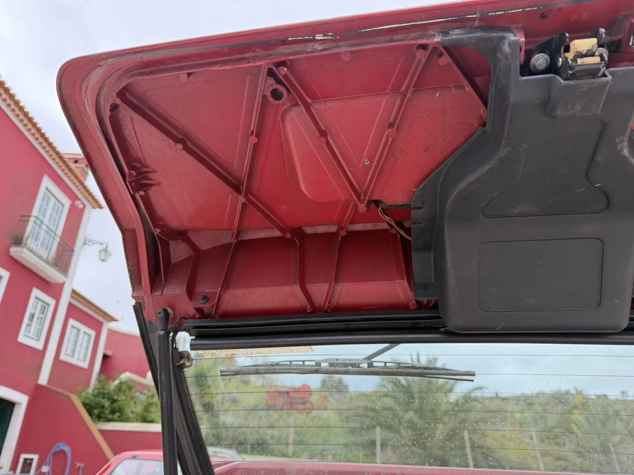 IMG_3612 – grande.jpeg