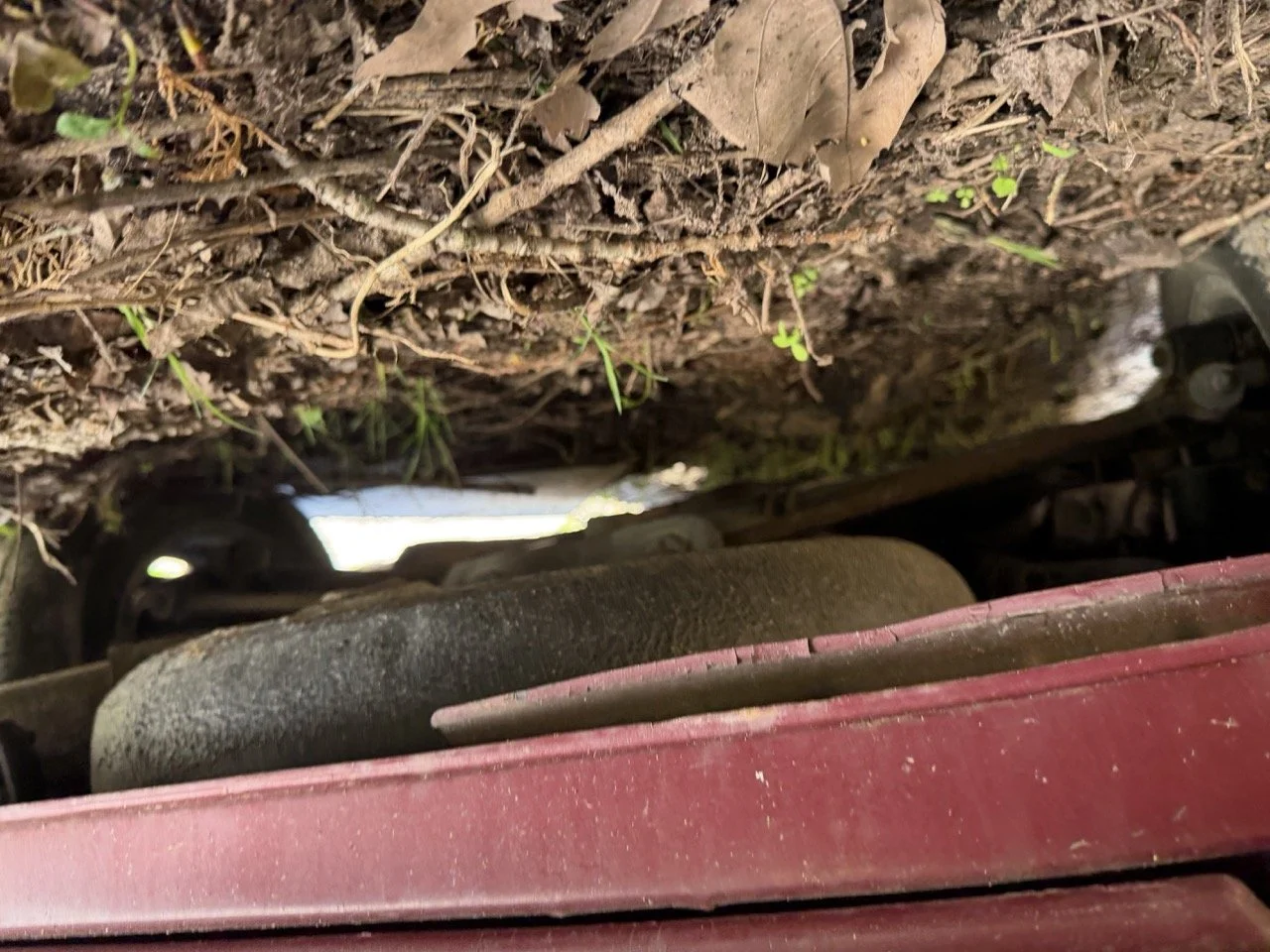 IMG_7642 – grande.jpeg