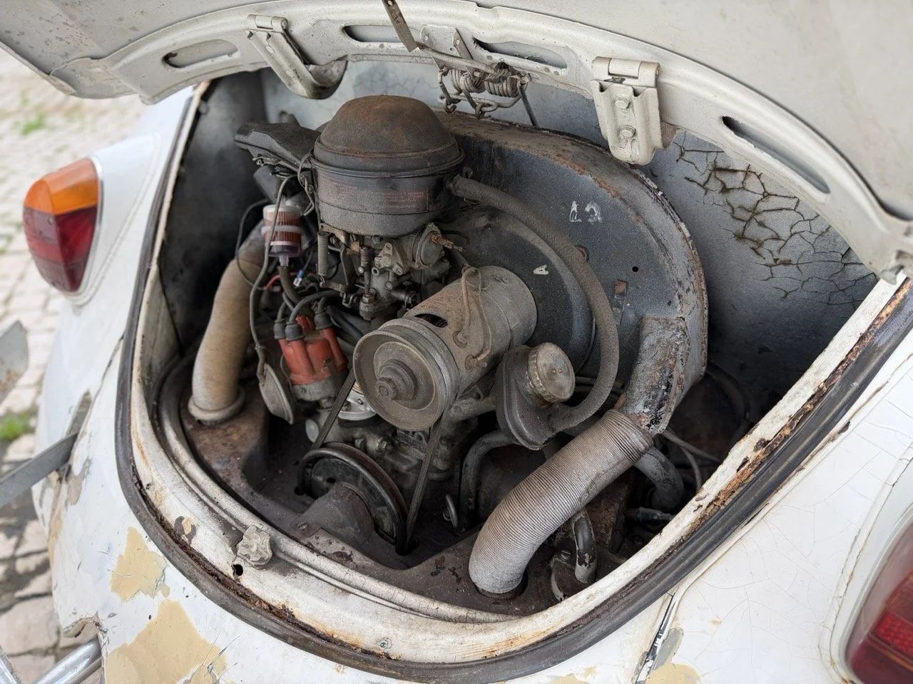 IMG_8642 – grande.jpeg