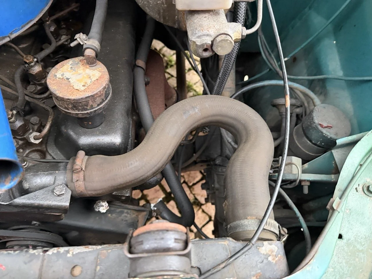 IMG_9956 – grande.jpeg