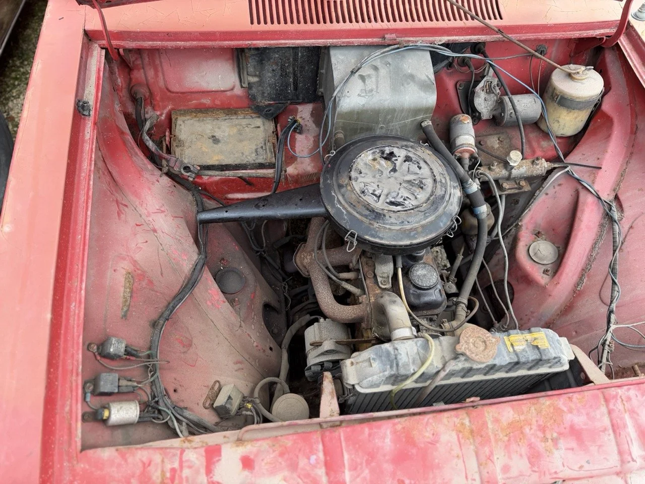 IMG_4977 – grande.jpeg