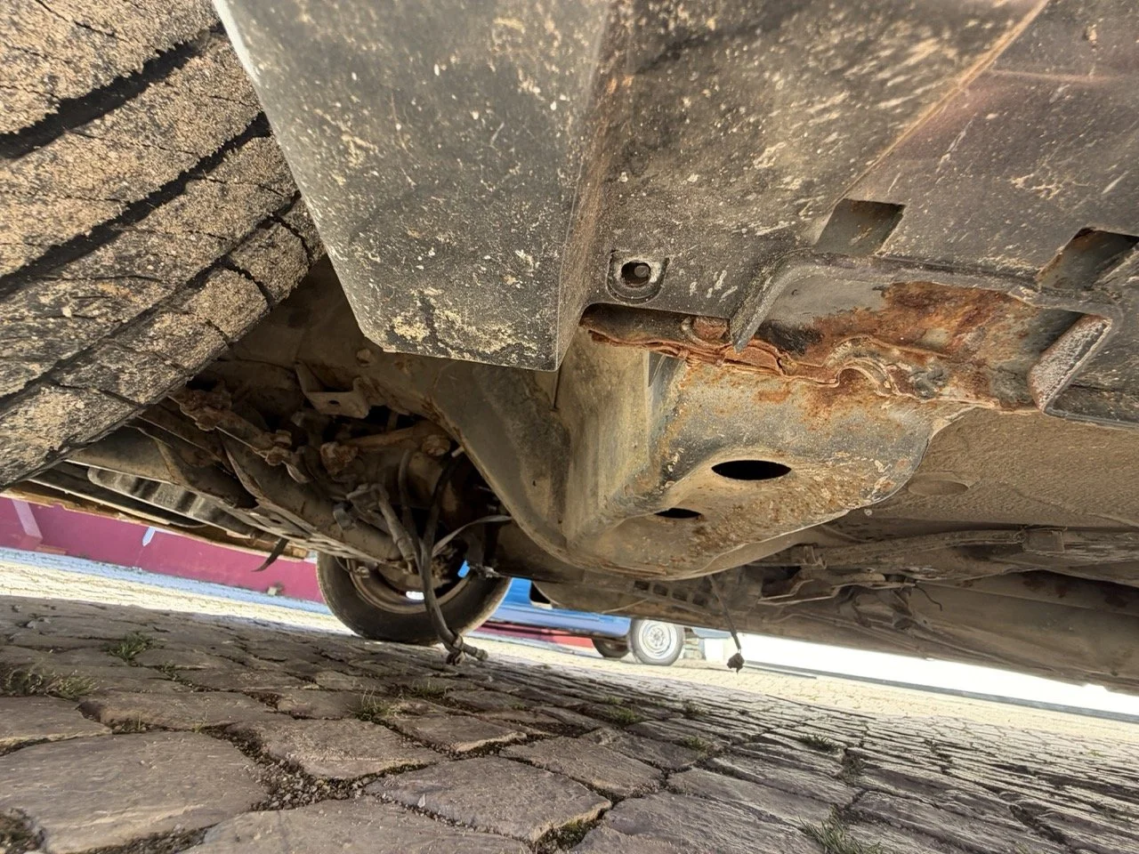 IMG_2817 – grande.jpeg