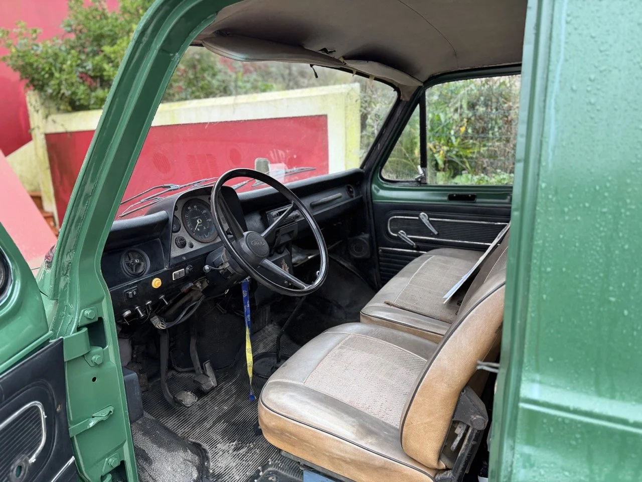 IMG_9933 – grande.jpeg