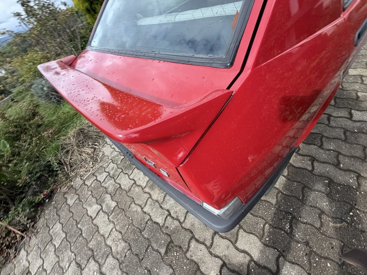 IMG_3270 – grande.jpeg