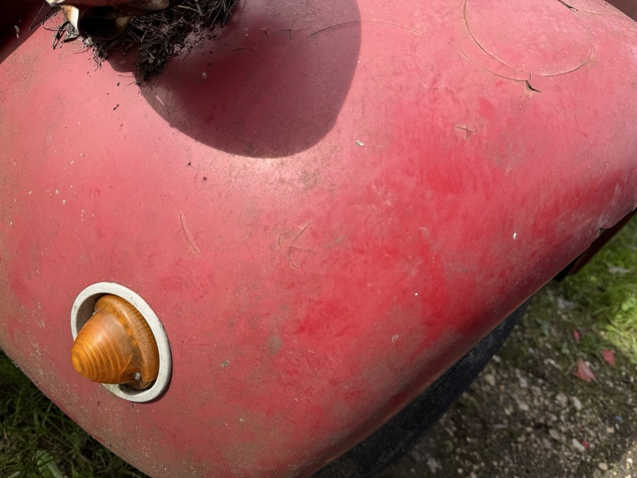 IMG_3875 – grande.jpeg