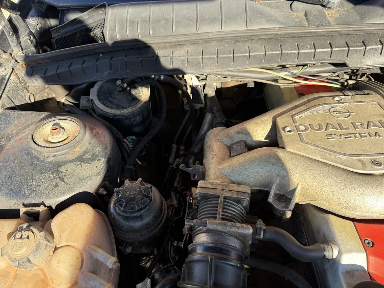 IMG_2758 – grande.jpeg