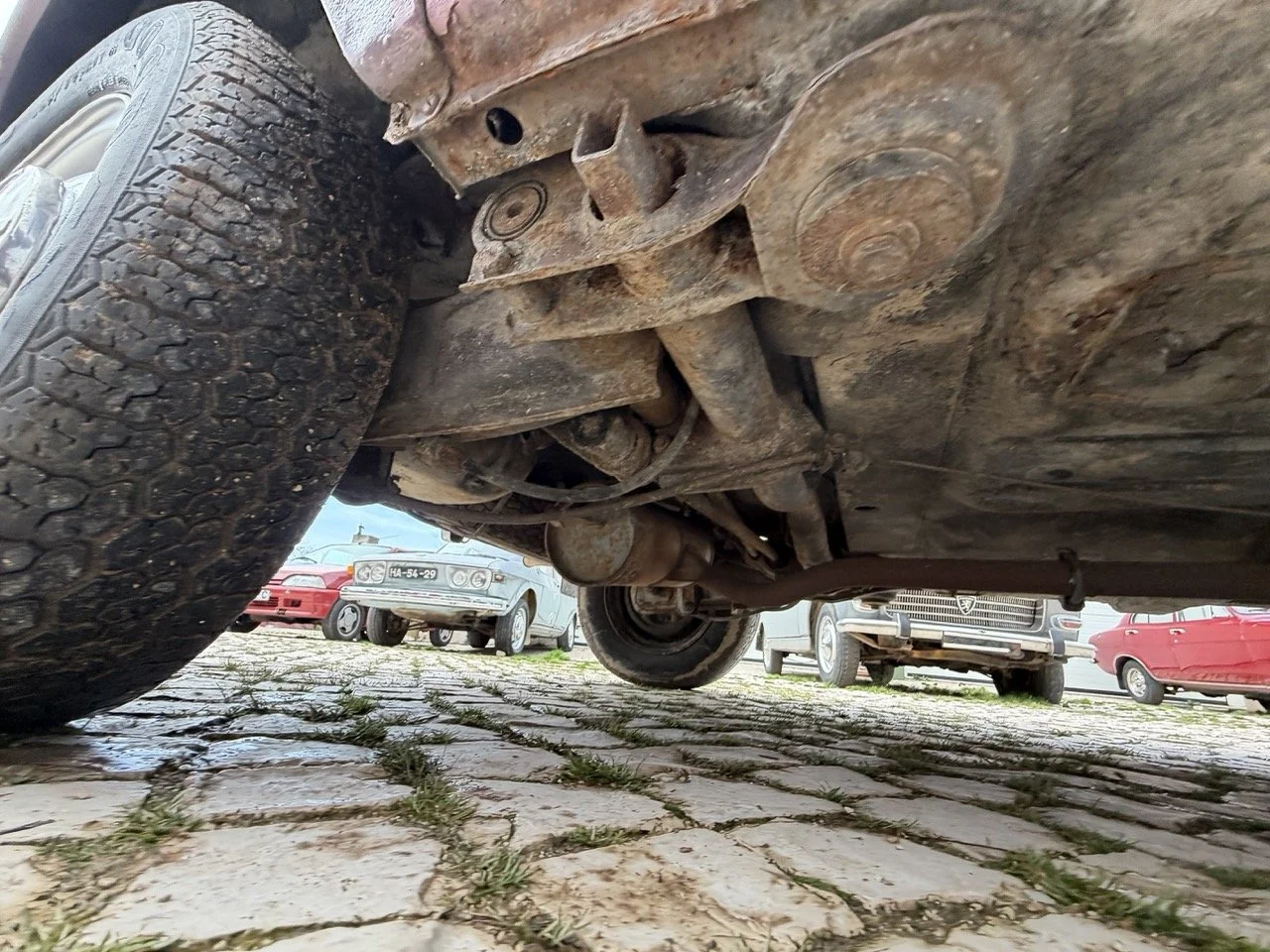 IMG_4947 – grande.jpeg