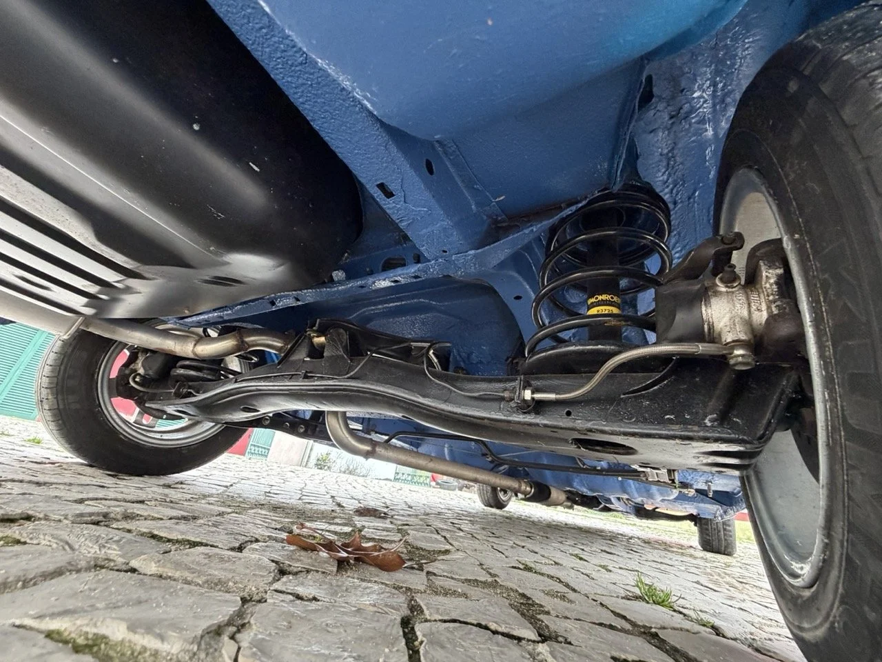 IMG_6127 – grande.jpeg