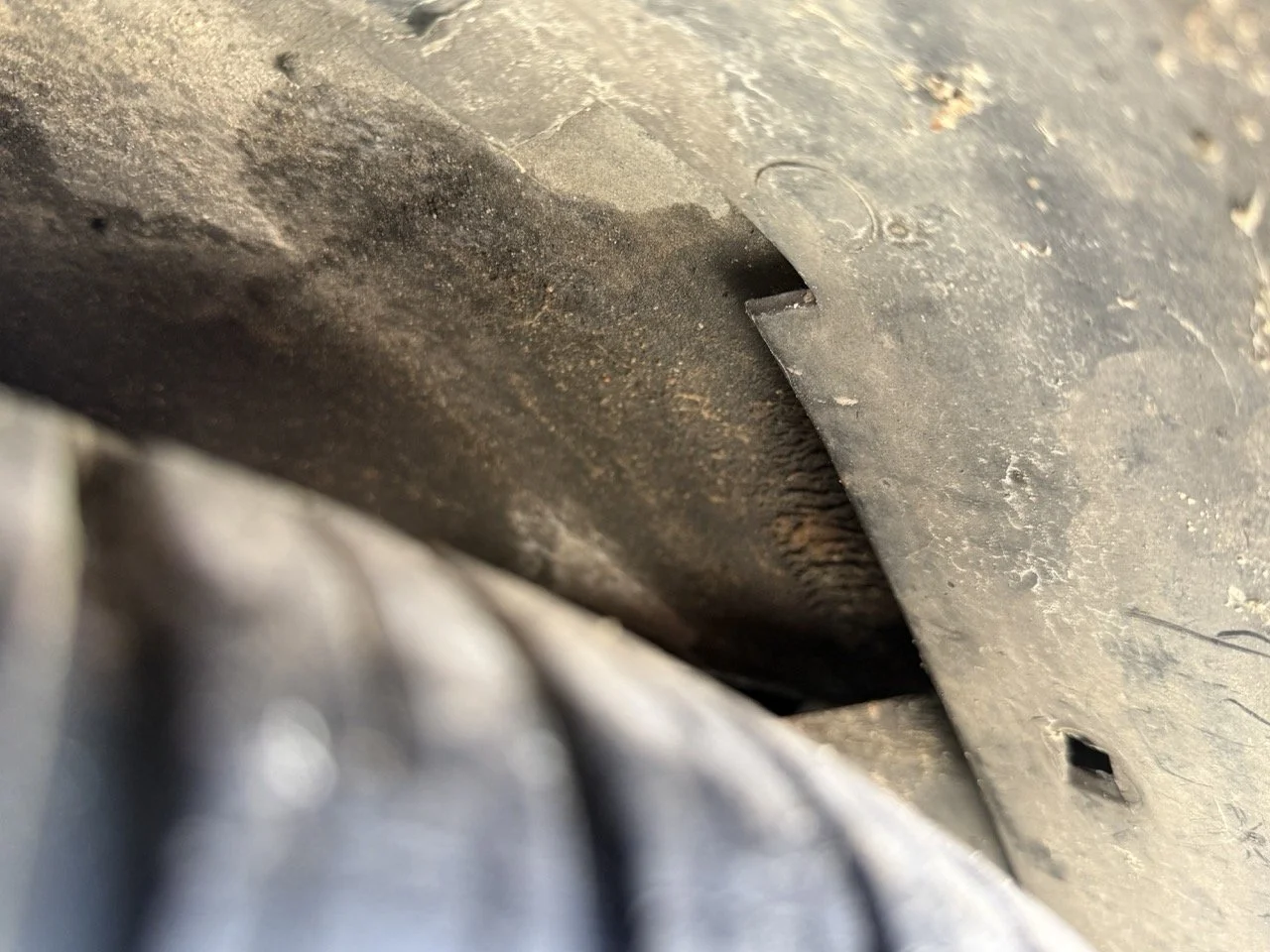 IMG_2641 – grande.jpeg