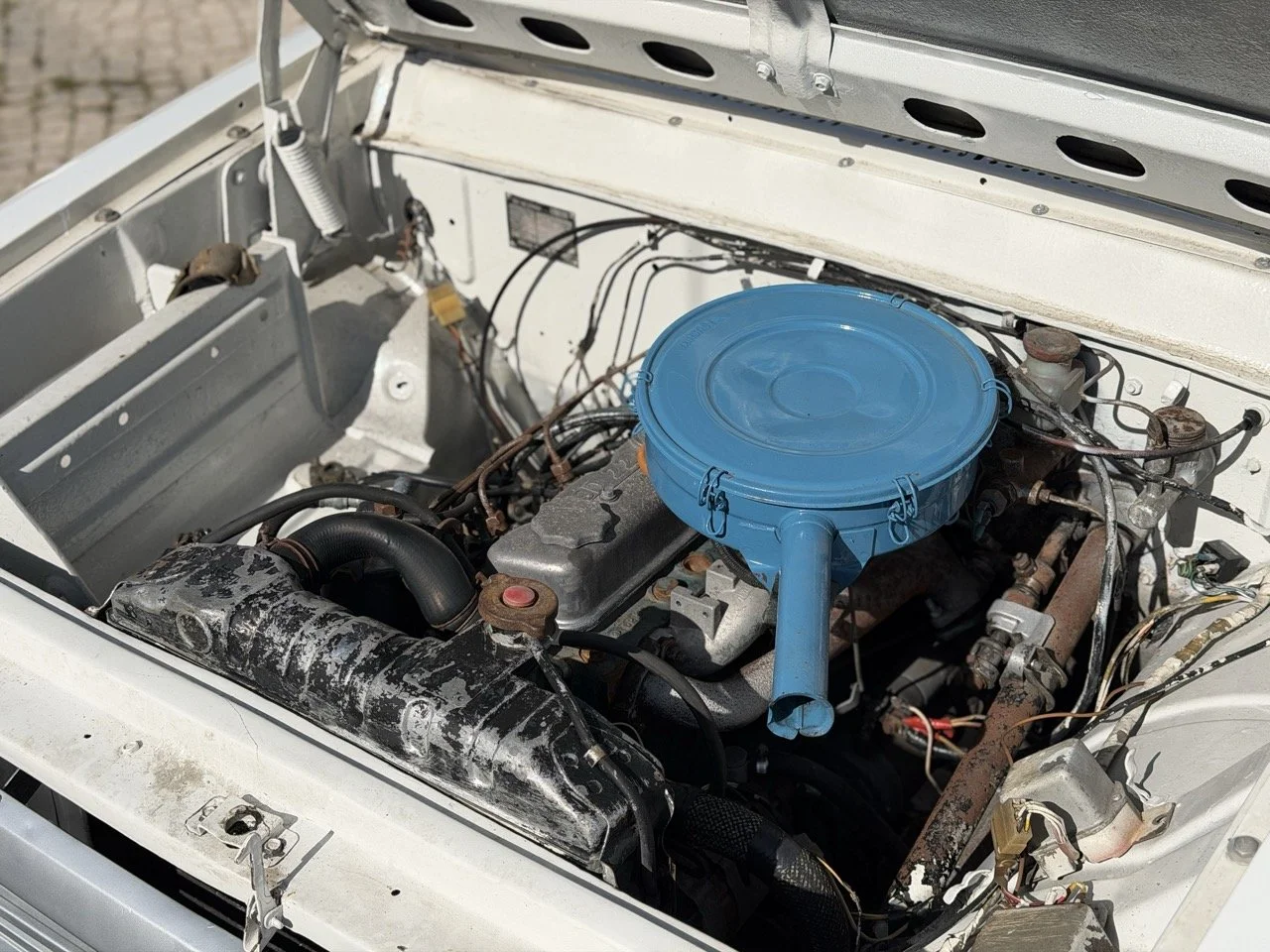 IMG_8609 2 – grande.jpeg