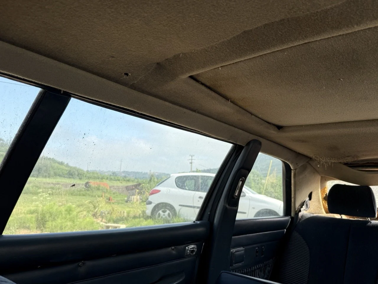 IMG_3429 – grande.jpeg