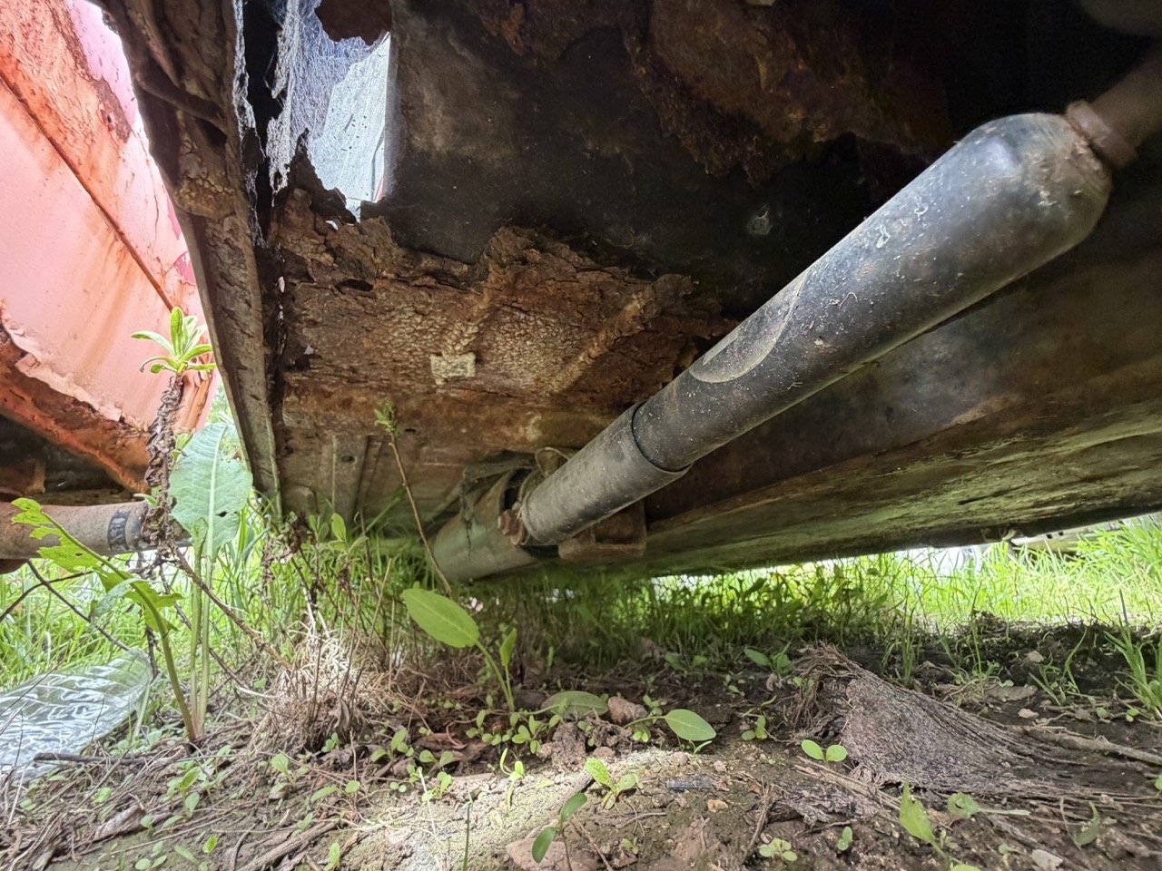 IMG_3885 – grande.jpeg