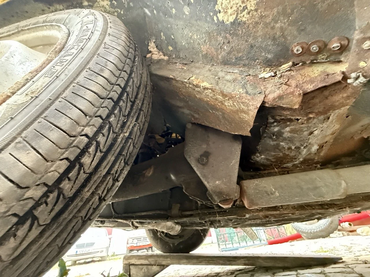 IMG_3818 – grande.jpeg