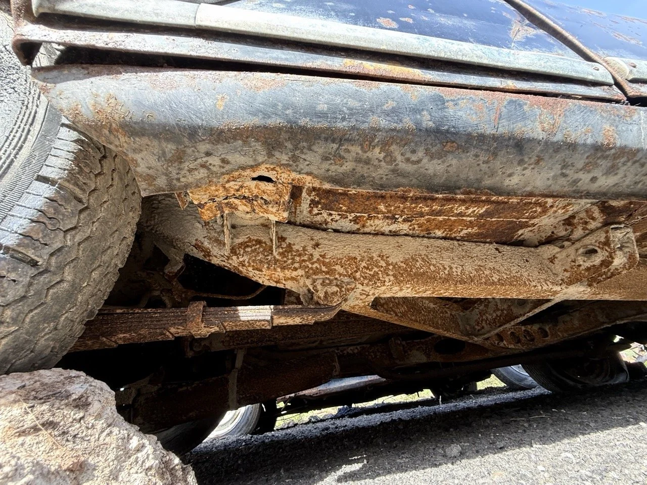 IMG_0455 – grande.jpeg