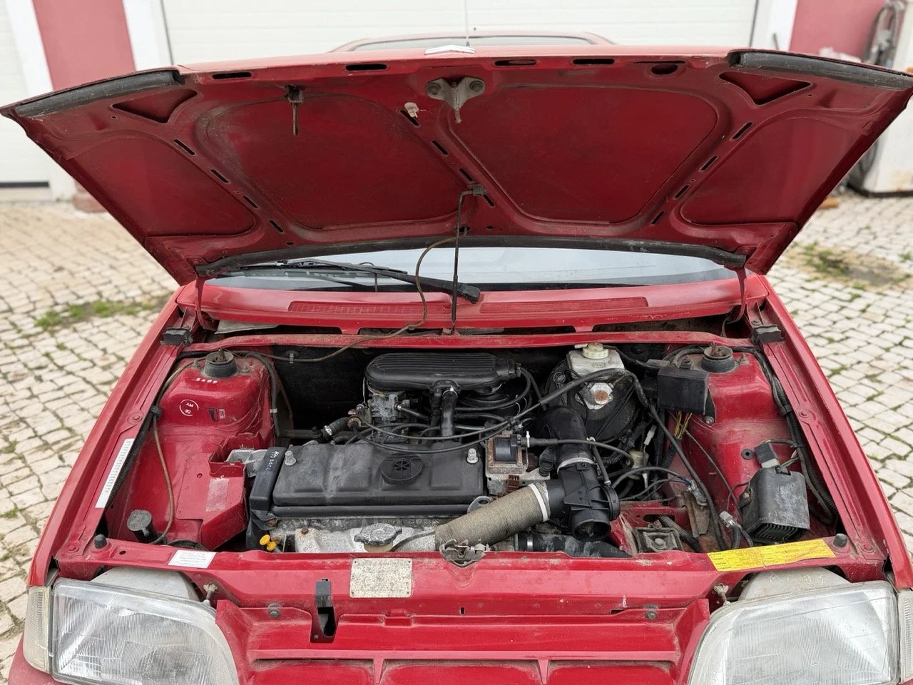 IMG_0432 – grande.jpeg