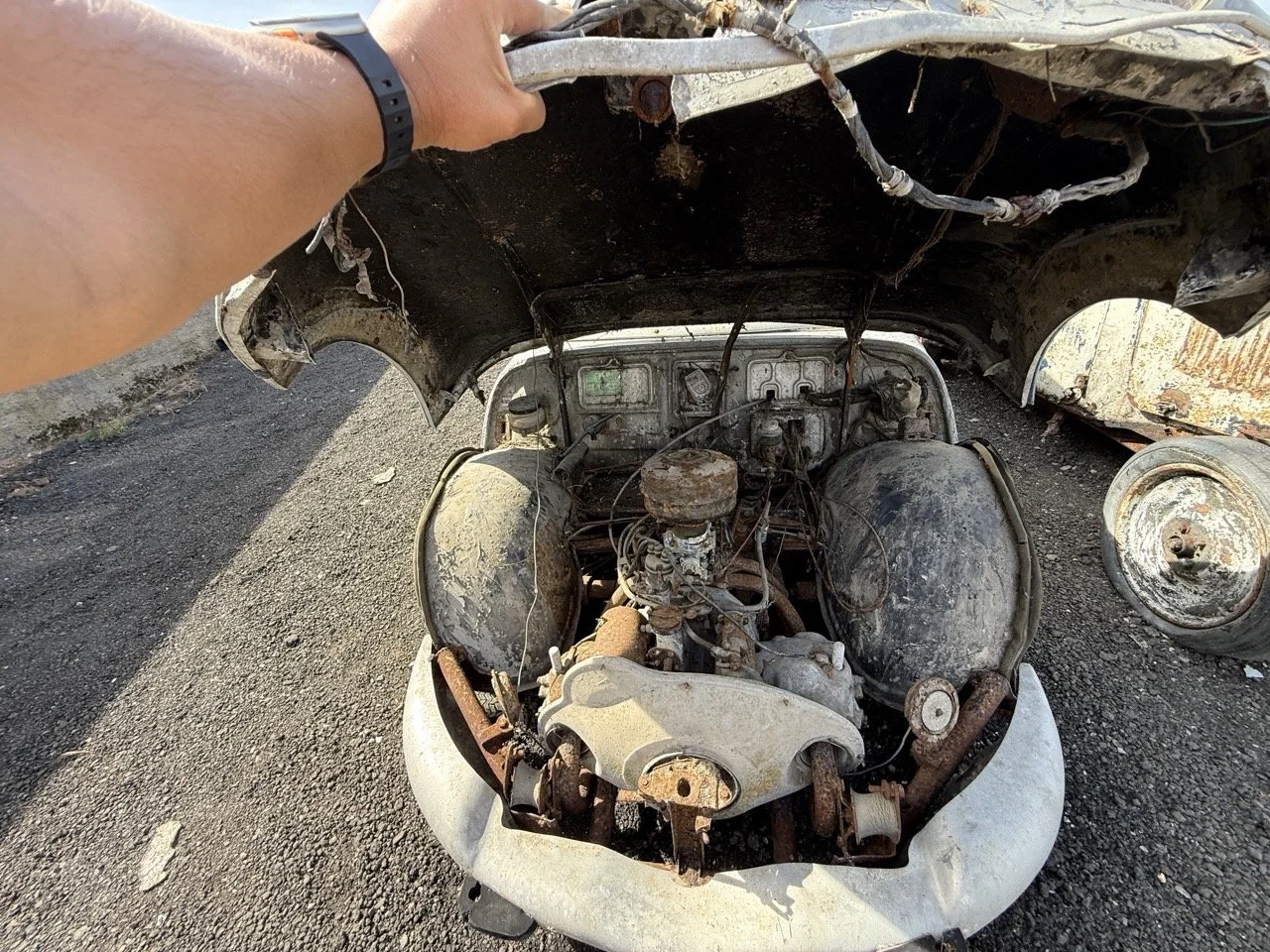 IMG_0335 – grande.jpeg