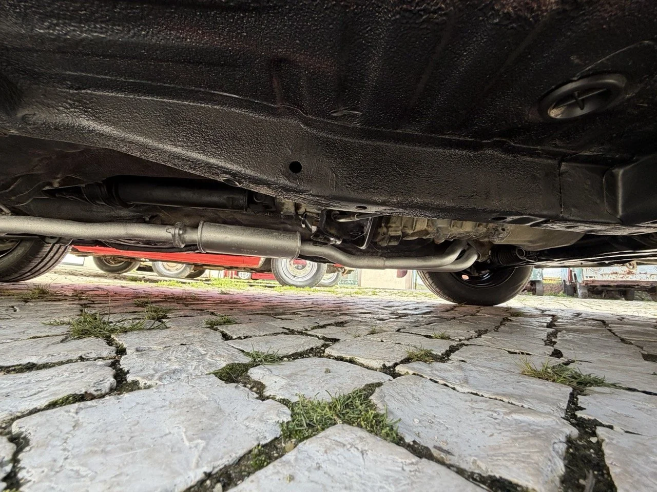 IMG_2451 – grande.jpeg