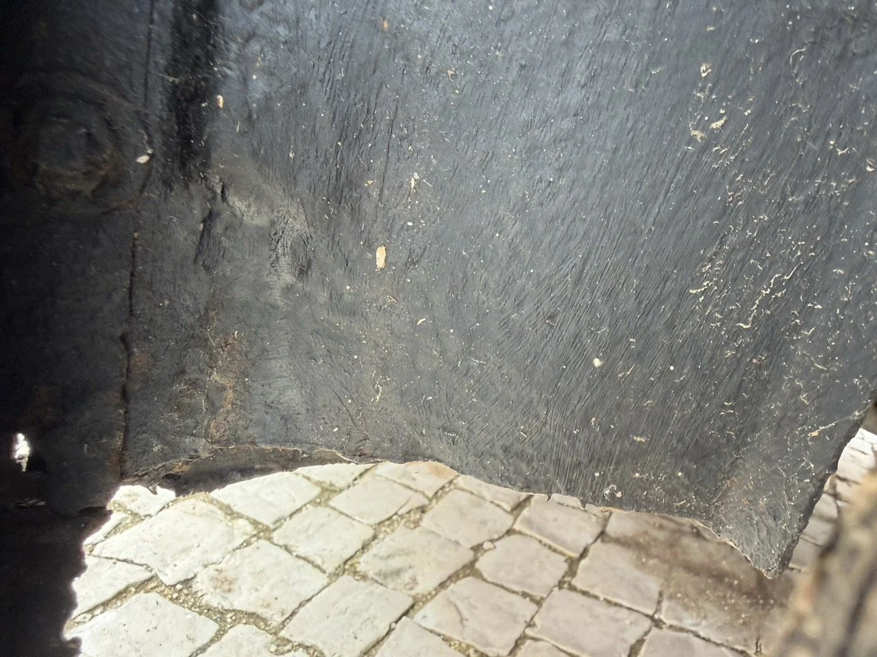 IMG_9889 – grande.jpeg