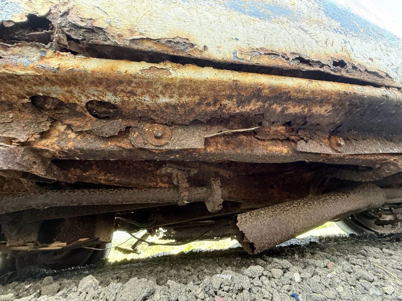 IMG_0373 – grande.jpeg