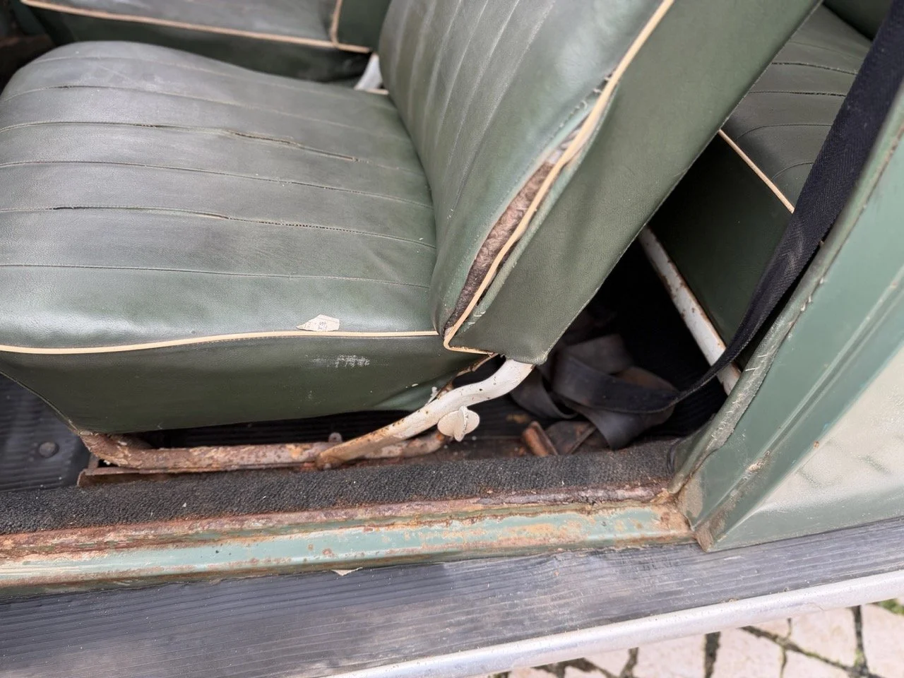 IMG_1130 – grande.jpeg