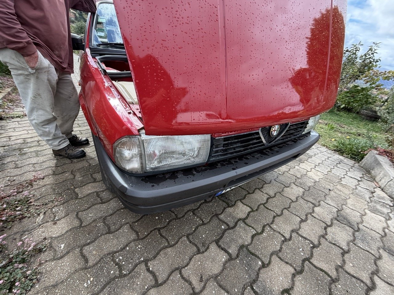 IMG_3259 – grande.jpeg