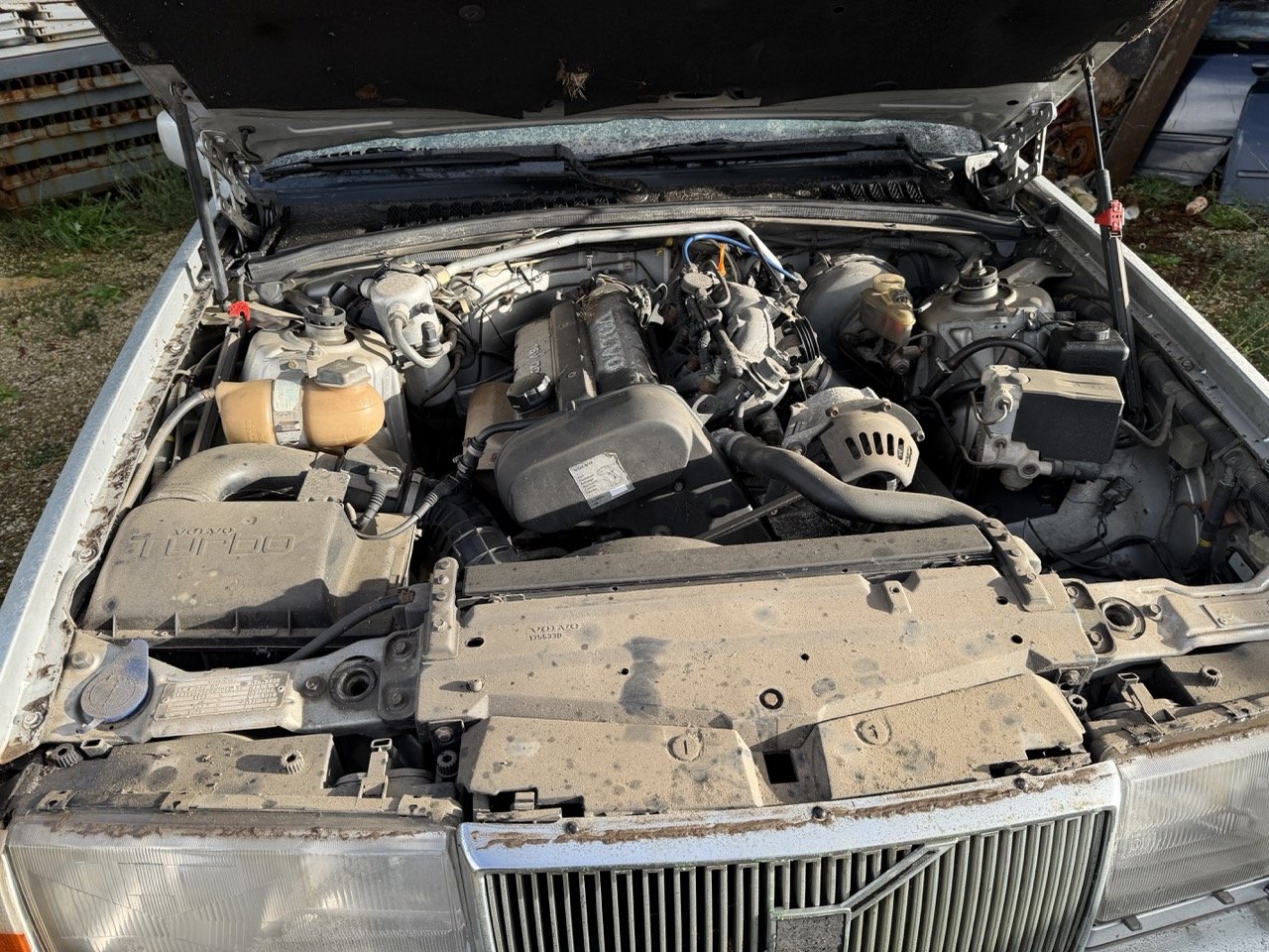 IMG_5763 – grande.jpeg