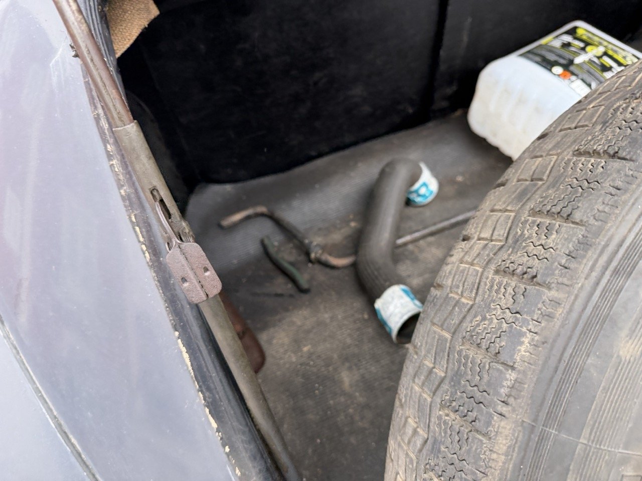 IMG_1865 – grande.jpeg