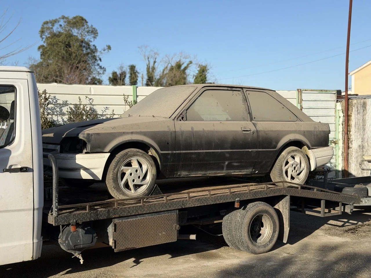 IMG_2426 – grande.jpeg