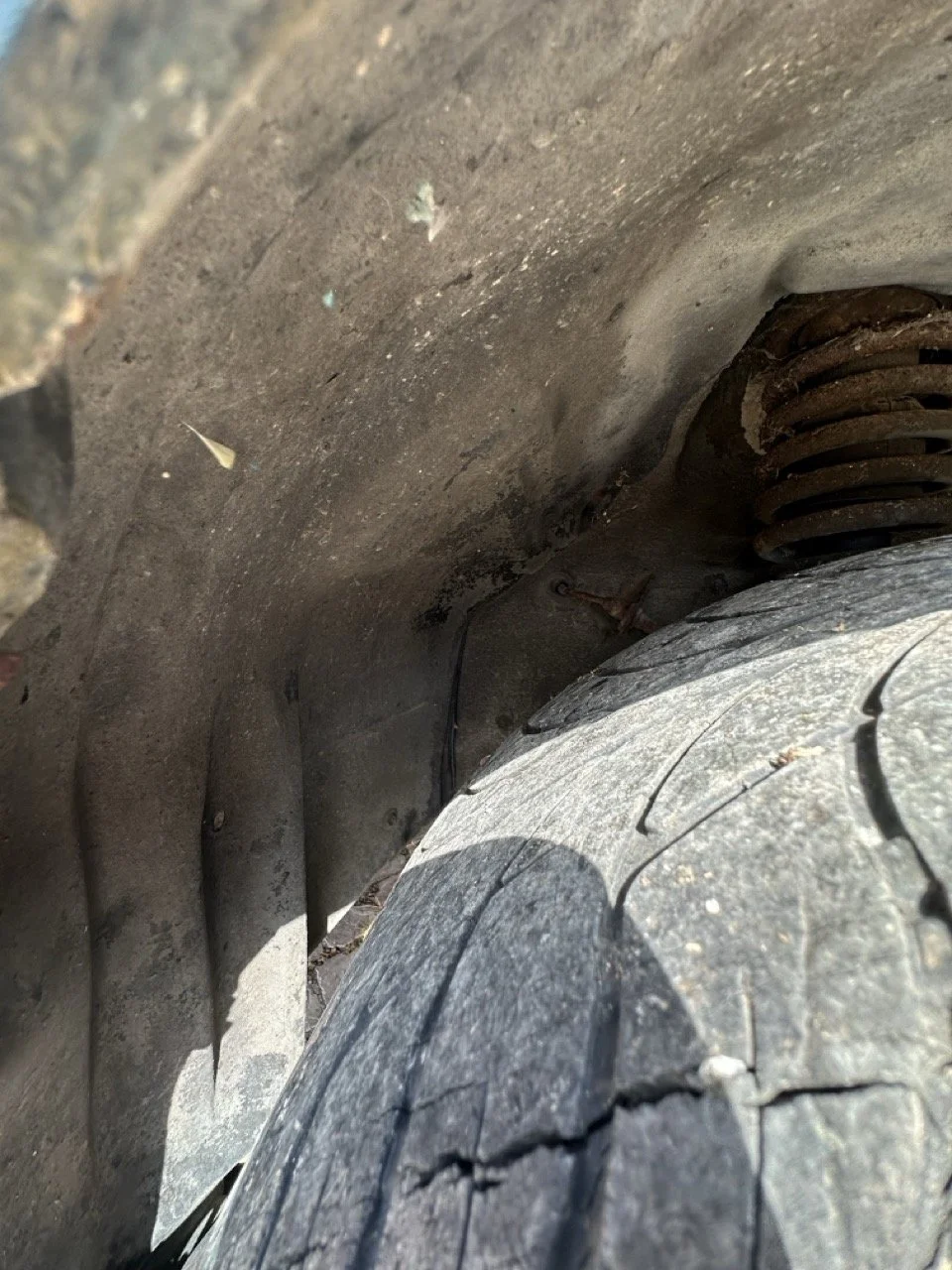 IMG_7255 – grande.jpeg