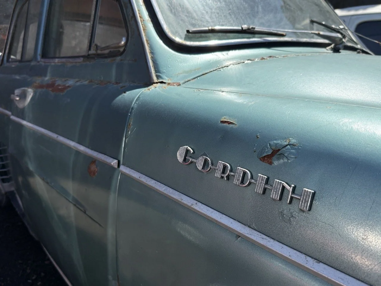 IMG_0882 – grande.jpeg