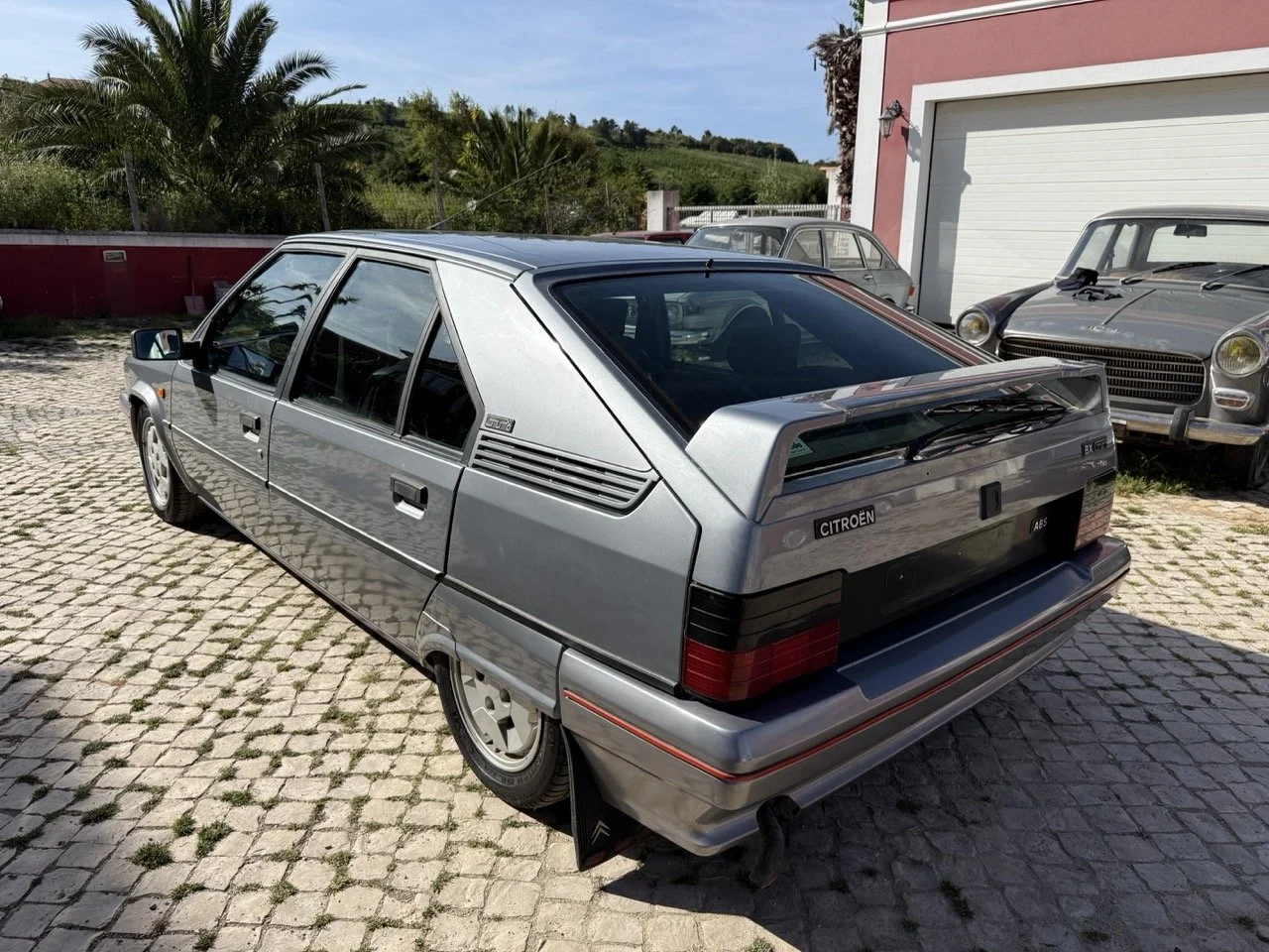 IMG_2522 – grande.jpeg